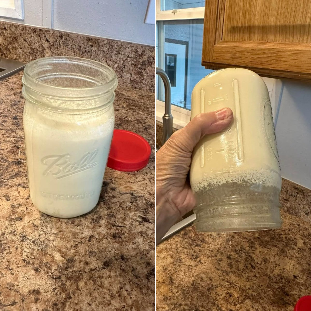 Jar of homemade soy yogurt made by a MioMat owner, held upside down to show how thick it is